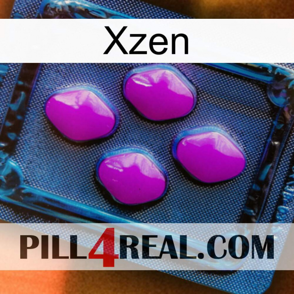 Xzen 04